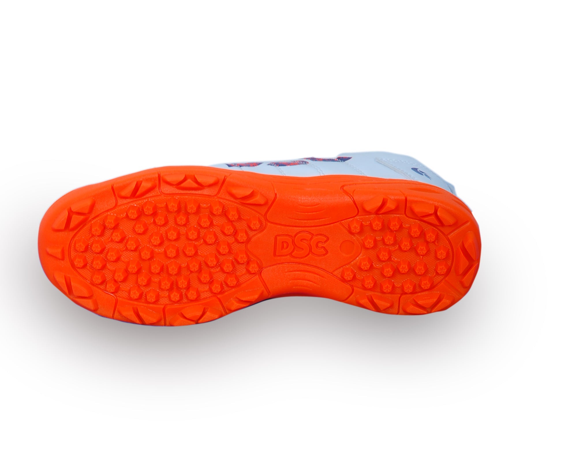 DSC Fearless Shoes Cricket Shoes