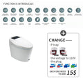 Modern Electronic Sanitary Wares Modern Economic Wc Intelligent Toilet Cheap Price