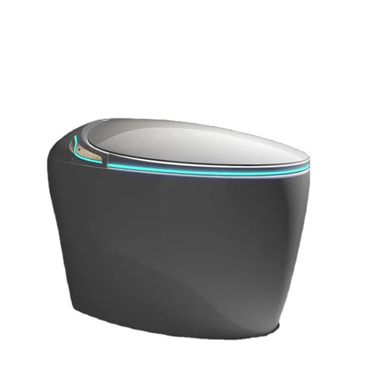 Modern Inteligente Remote Electric Automatic Flush Wc Bidet One Piece Intelligent Smart Toilet Elongated Heated Seat Dual-Flush